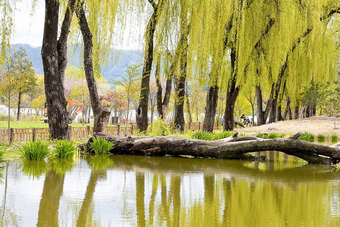 Nami Island & Petite France With Italian Village One-Day Tour - Accessibility Information