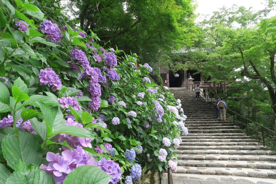 Nara Day Tour From Osaka - Inclusions and Exclusions