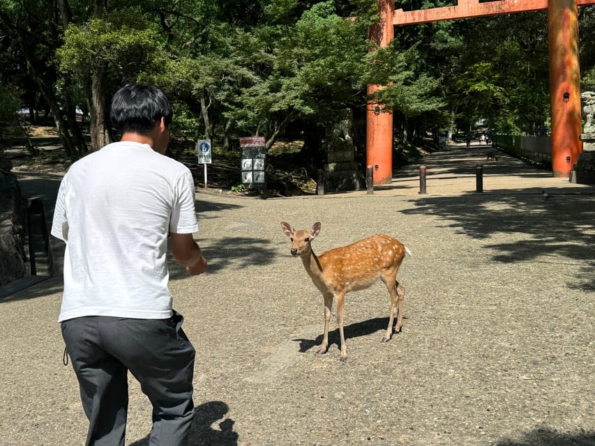 Nara: Discover Every Bit of Tohdaiji-Temple in 2 Hours - Whats Included in the Tour