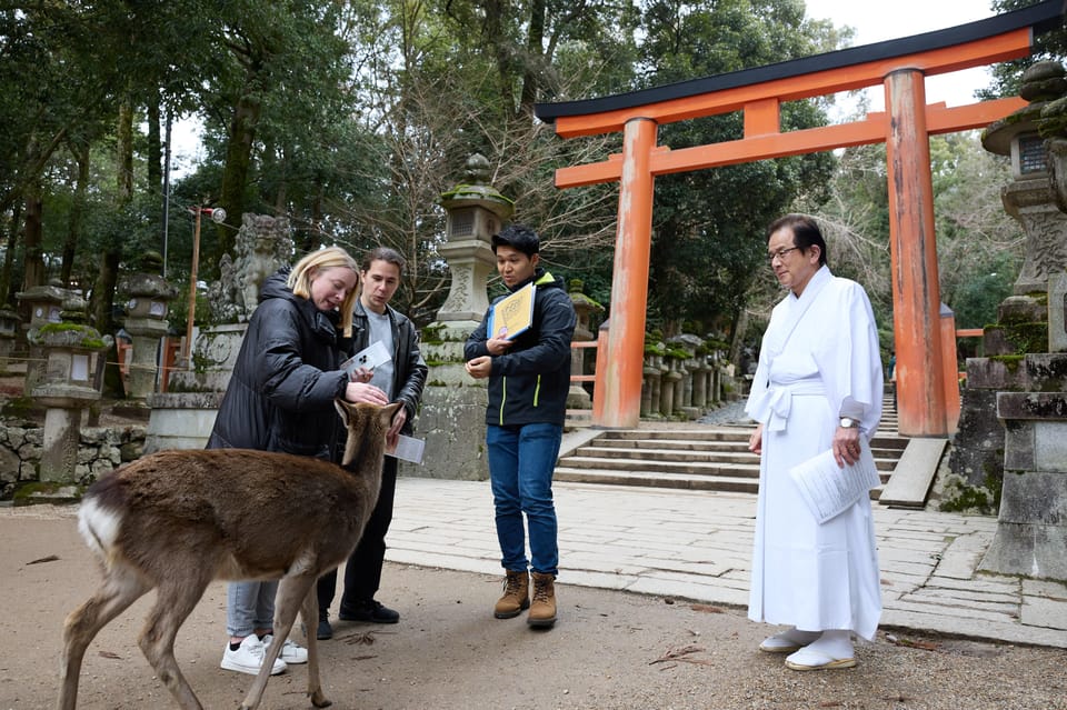 Nara: Explore Kasuga Taisha Shrine in Just 90 Minutes. - Included Features of the Tour