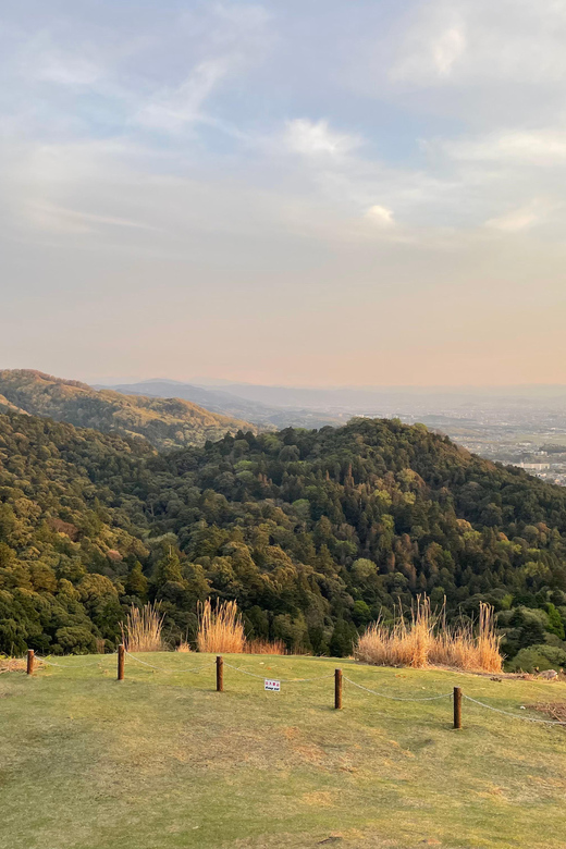 Nara: Hiking the Forest, Big Buddha, Deer, Shrine, Sun Set - Hiking in Primeval Forest