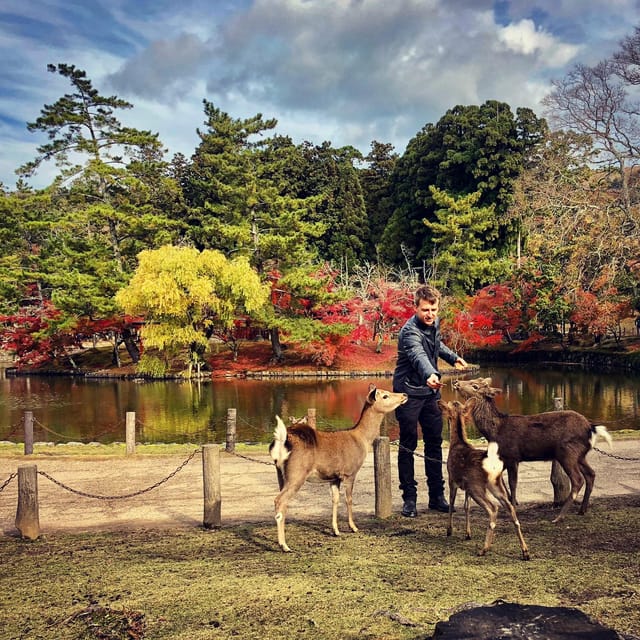 Nara: Todaiji, Kasuga and Nara Park - Recap