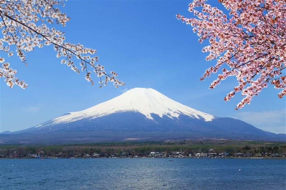 Narita Airport（NRT）to/from Mount Fuji Private Transfer - Booking Process