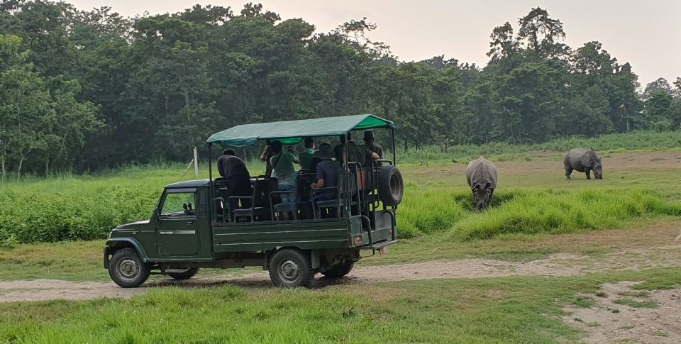 Nature Jungle Safari in Chitwan National Park 2 Night 3 Days - Tips for a Memorable Experience