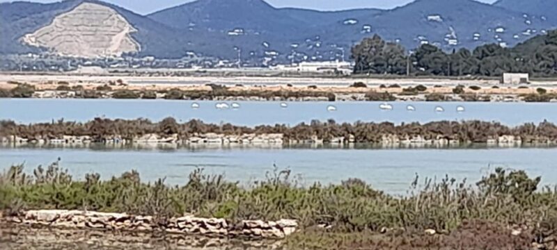 NATURE WALK + BEACH, YOGA & OPTION OF HEALTHY BIO PICKNICK - Pickup and Drop-off