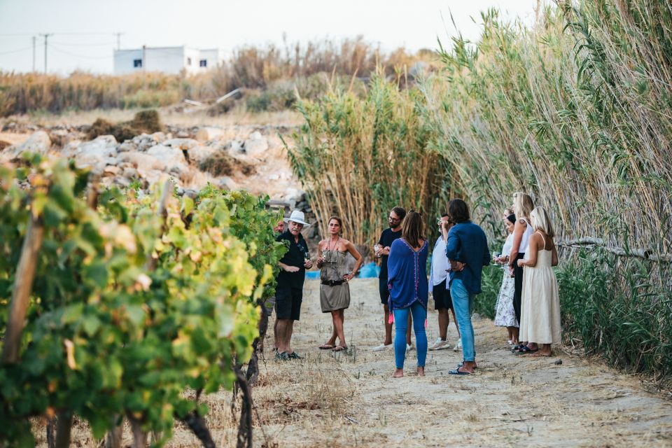 Naxos: Full Moon Dinner and Wine Tasting in a Vineyard - Cultural Significance