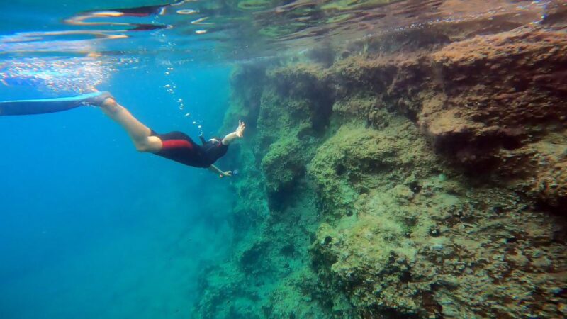 Nea Makri: Marathon Cape & Bay of Schinias Snorkeling Trip - Important Information