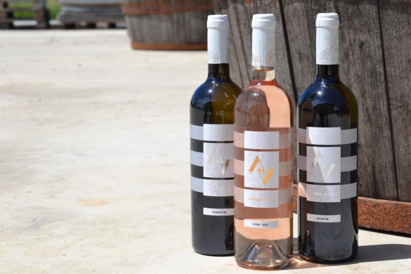 Near Rome: Wine Tasting in Exclusive Location - Wine Selection and Pairings