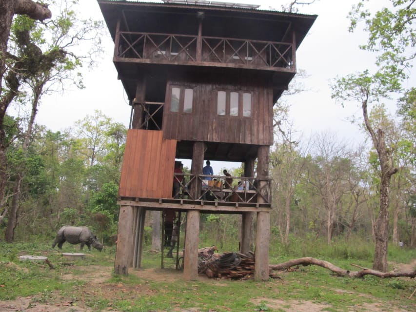 Nepal: Chitwan National Park 3-Day Jungle Tower Stay - Whats Included in Your Stay