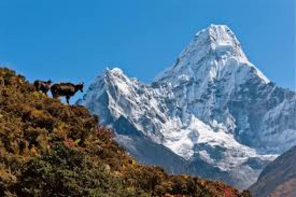 Nepal: Everest Three Passes Trek - Safety Considerations