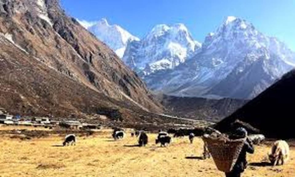 Nepal: Kanchenjunga Circuit Trek via Sele La Pass (4,480m) - Cultural Insights