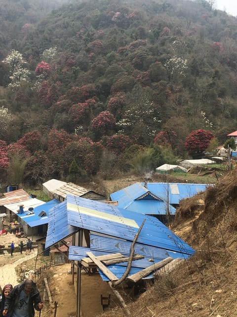 Nepal: Trekking Guide With 20+ Years of Experience - Recap