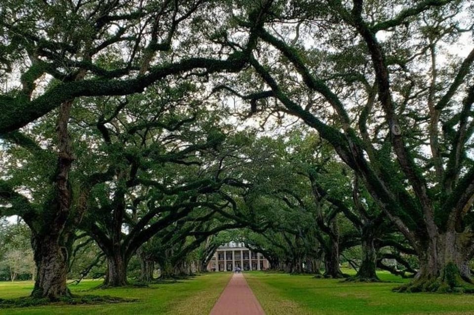 New Orleans: Oak Alley & Laura Plantation Tour W/Transport - Tour Highlights