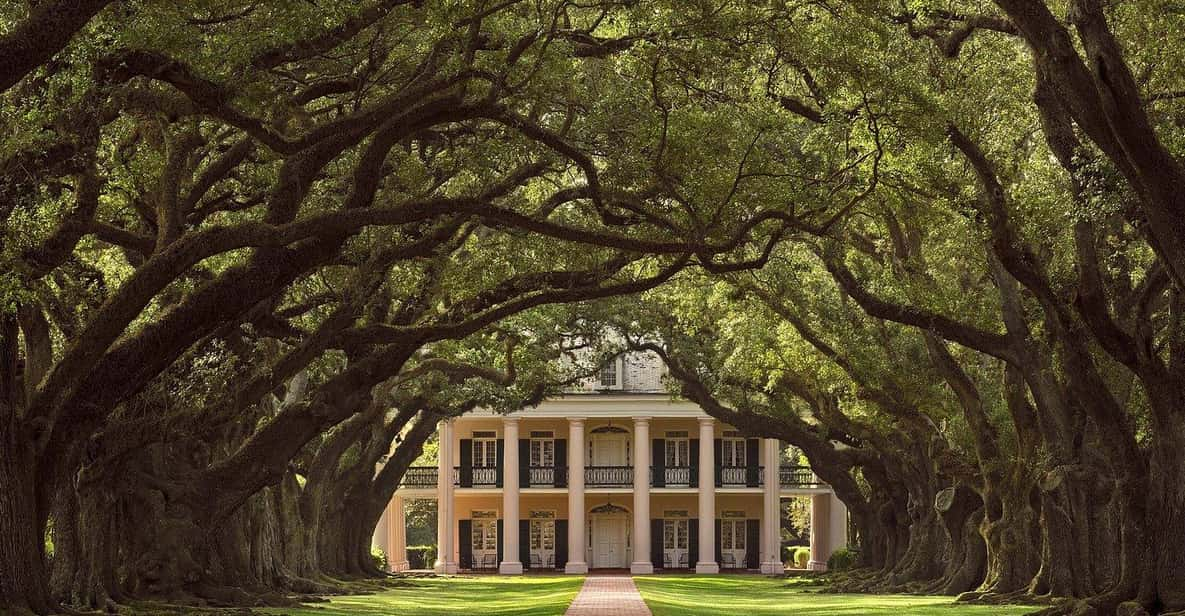 New Orleans: Oak Alley Plantation Half Day Tour - Guided Tour Experience