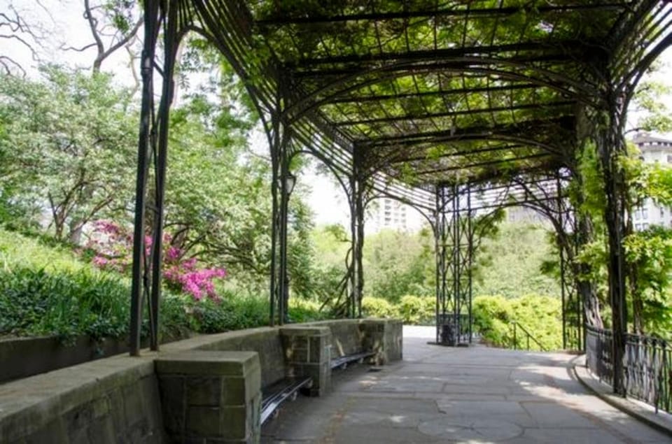 New York City : Central Park Walking Tour With A Guide - Customer Feedback