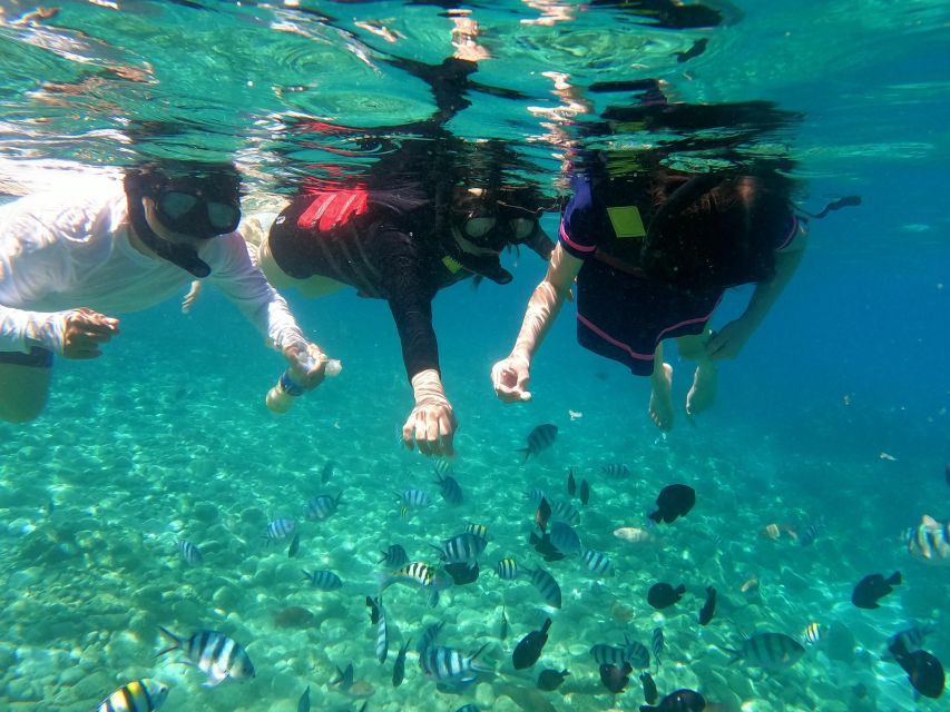 Nha Trang Half Day Snorkeling Trip - Customer Feedback