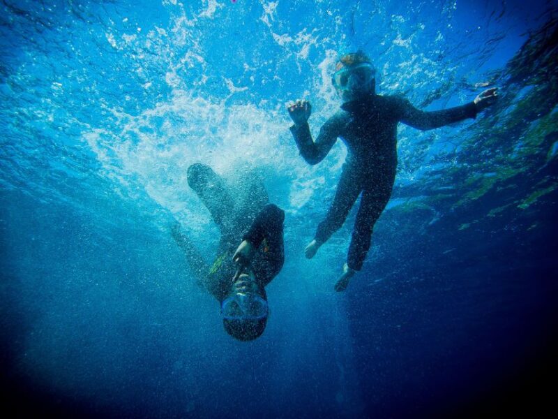 Nice: Speedboat Day Trip With Snorkeling in Villefranche Bay - Age and Participant Information