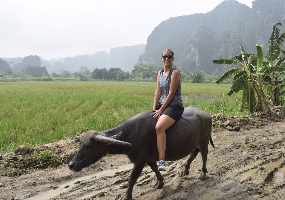 Ninh Binh: Buffalo Riding, Rice Planting Group Tour - Customer Feedback