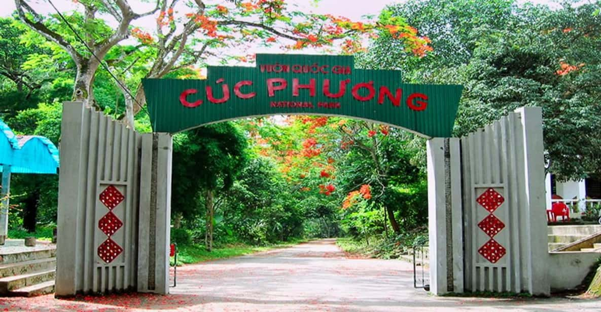 Ninh Binh: Explore Cuc Phuong National Park Full Day - Cave of Prehistoric Man