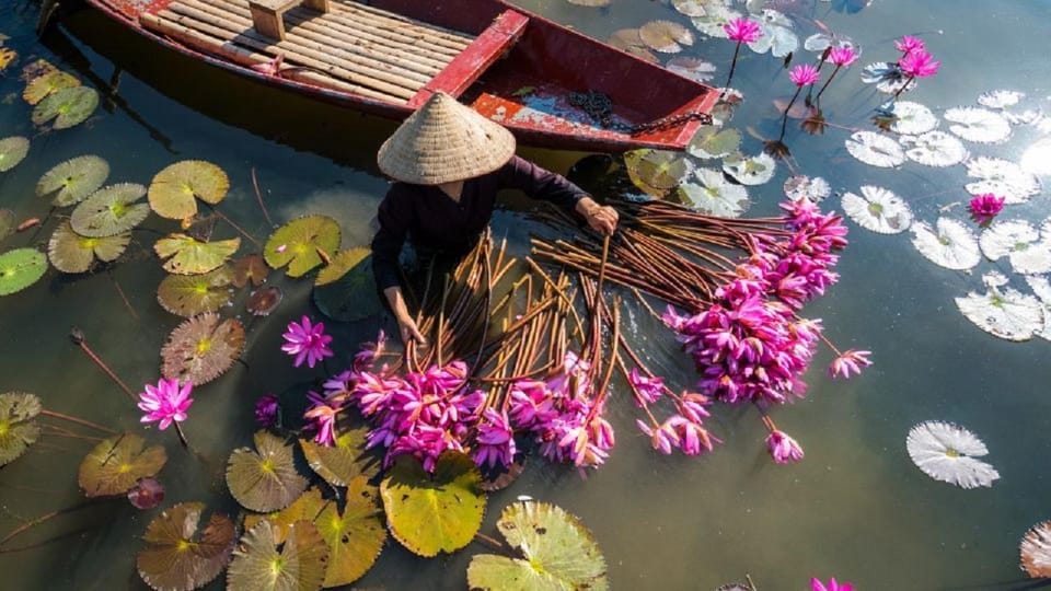 Ninh Binh: Hoa Lu, Trang An & Hang Mua Trip by Limousine Bus - Free Cancellation and Payment