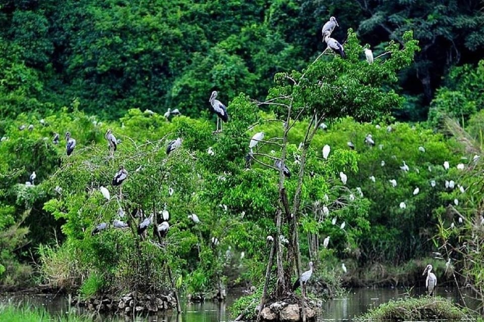 Ninh Binh Motorbike Tour - Discover Hidden Gems