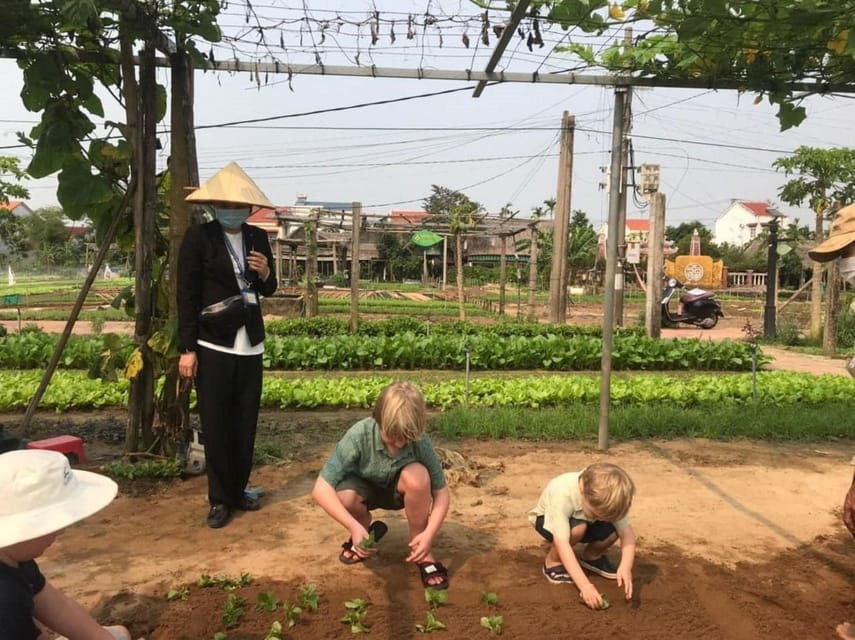 Non-Touristy Tra Que Vegetable Village and Thanh Ha Pottery - Discovering Thanh Ha Pottery Village