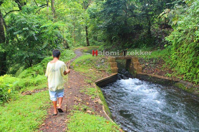 North Lombok Waterfalls - Tips for Travelers