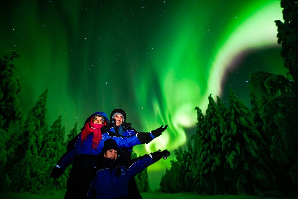 Northern Lights Hunting Adventure in Lapland - Customer Ratings and Feedback