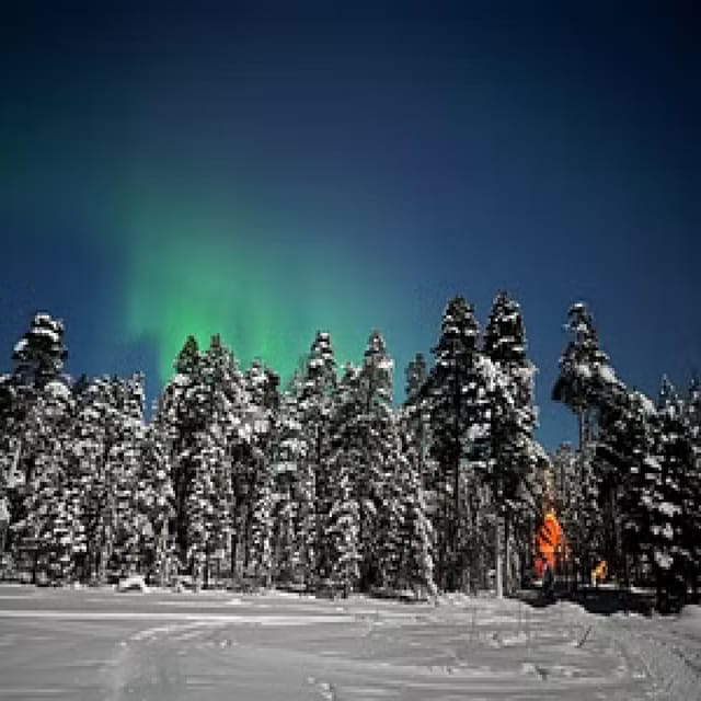 Northern Lights Hunting With Aurora Workshop - Transportation and Comfort