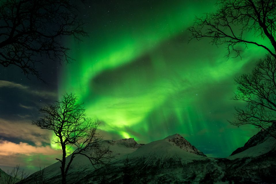 Northern Lights Tromsø - Small Group Tour With Local Guide - Booking Information