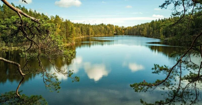 Nuuksio National Park Hiking Experience From Helsinki - Scenic Highlights