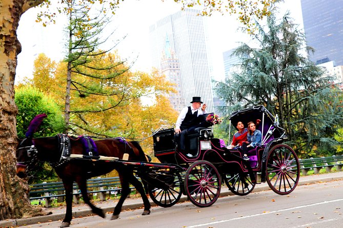 NYC Horse Carriage Ride in Central Park (50 Min. Up to 4 Adults) - Booking Process