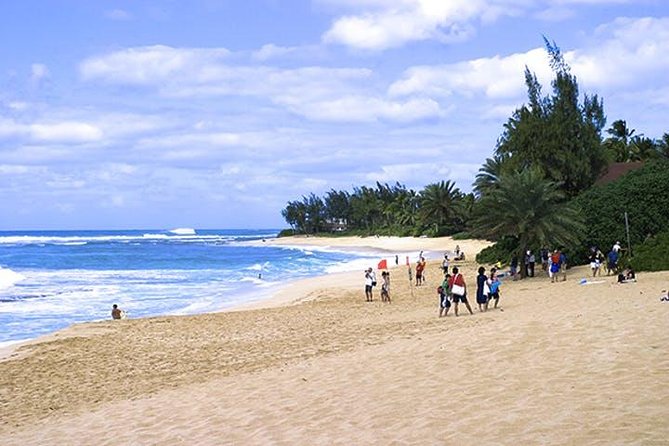 Oahu Grand Circle Island Tour - Tour Experience and Feedback