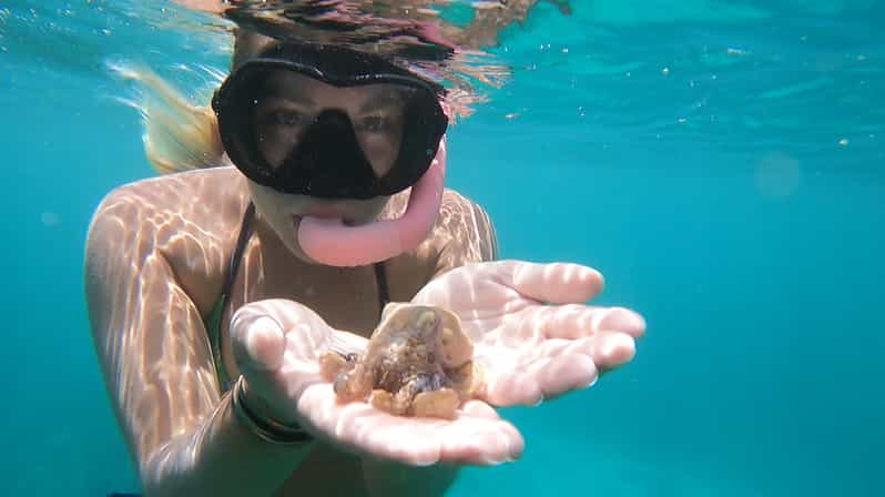 Oahu: Marine Ecology Snorkel Tour - Equipment and Inclusions