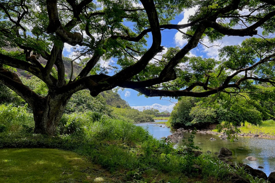 Oahu: Private Tour Circle Island North Shore W/ Waimea Falls - Scenic Locations to Explore