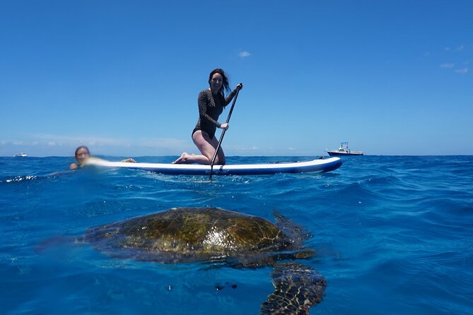 Oahu: Swim With Dolphins, Turtle Snorkel, Waterslide Activities - Preparing for Your Adventure