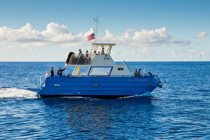 Oahu Whale Watching Excursion - Weather Considerations