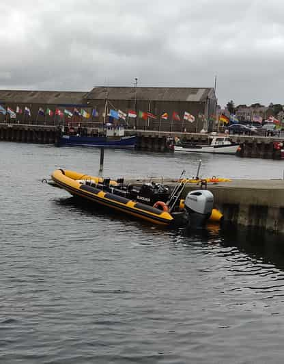 Oban: Historical and Wildlife Boat Cruise - Customer Feedback