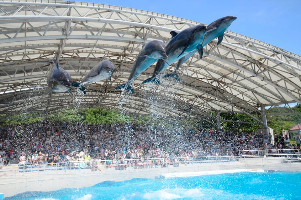 Okinawa: Bus Tour to Churaumi Aquarium With Sightseeing - Customer Feedback