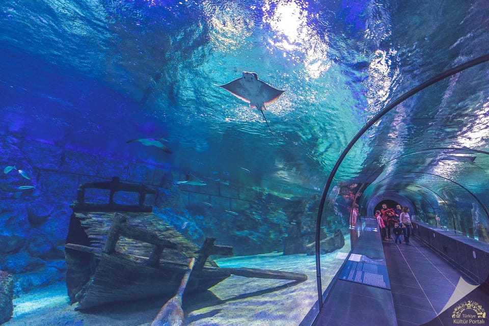 Okurcalar/Alanya: Antalya Aquarium Round-Trip Bus Transfer - Tips for a Great Experience