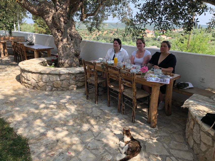 Olive Grove Tour & Olive Oil Tasting and Lunch in Messinia - Booking and Cancellation Policy