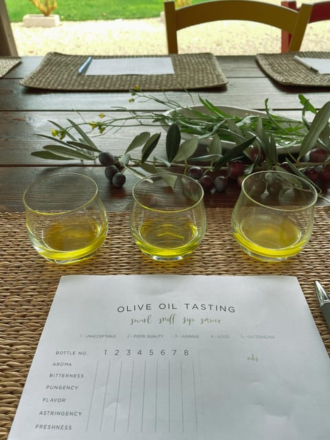 Olive Grove Walking, Puglian Food and Olive Oil Pairing Tour - Participant Restrictions