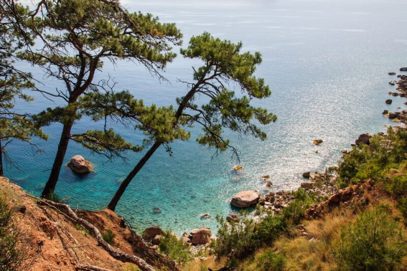 Olympos, Cirali, Chimera Night Tour With Dinner at Ulupinar - Customer Feedback and Ratings