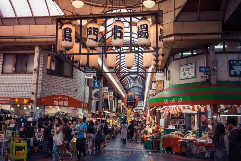 One Day Private Customized Self-Guided Tour in Osaka - Accessibility Features