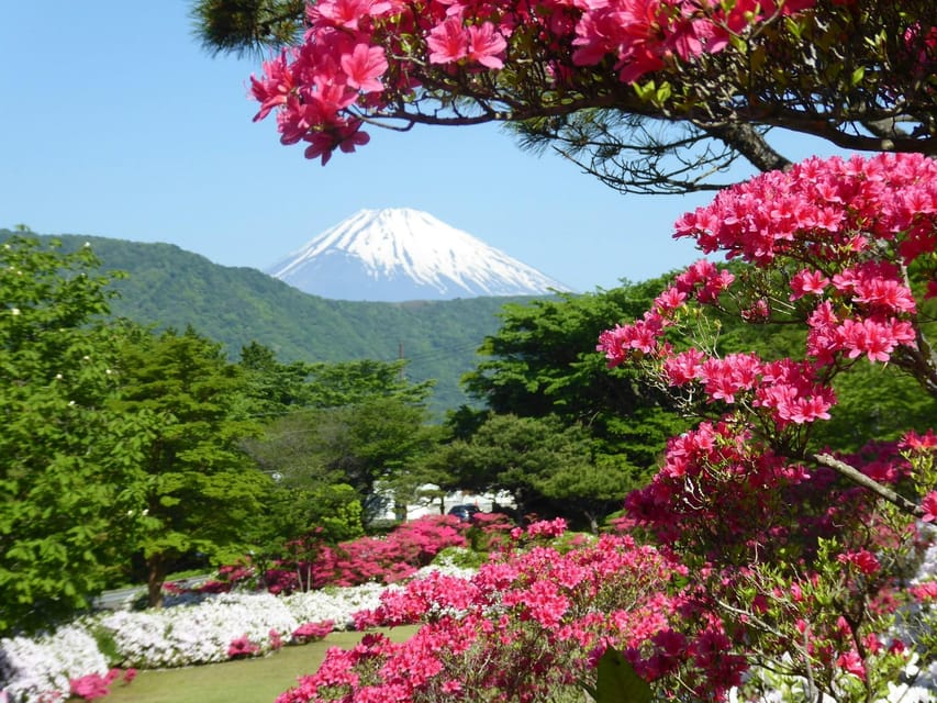 One Day Private Tour to Mount Fuji Hakone With English Guide - Pricing and Booking Information