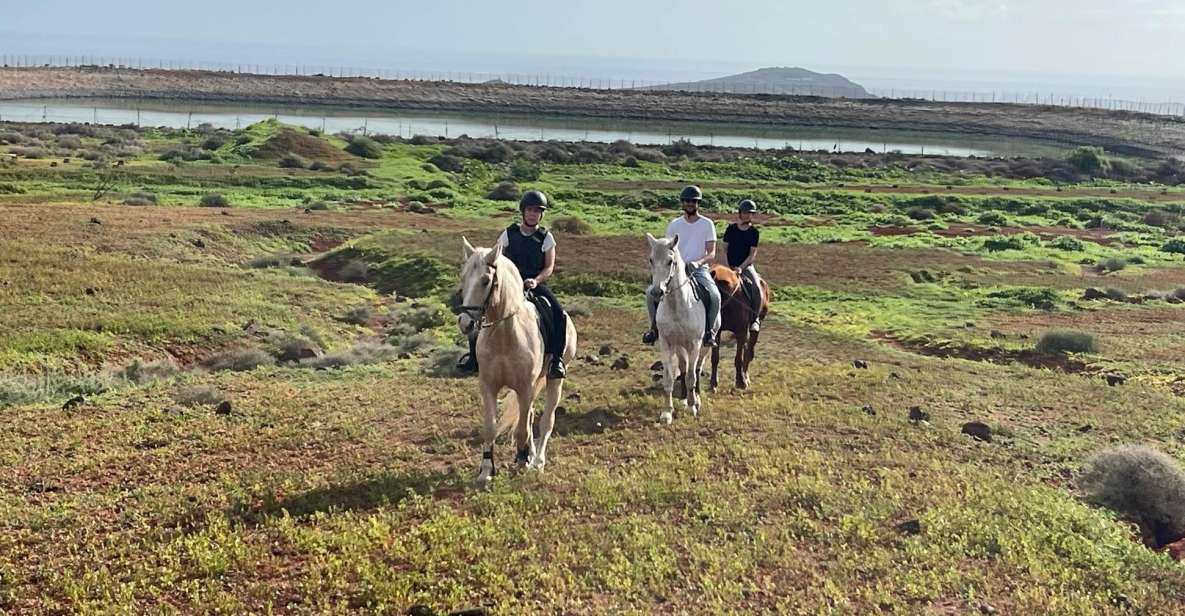 One Hour Horse Riding Tour in Gran Canaria - Important Information