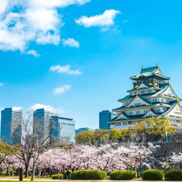 Osaka: Private Customizable Tour By English Speaking Driver - Tips for a Great Experience