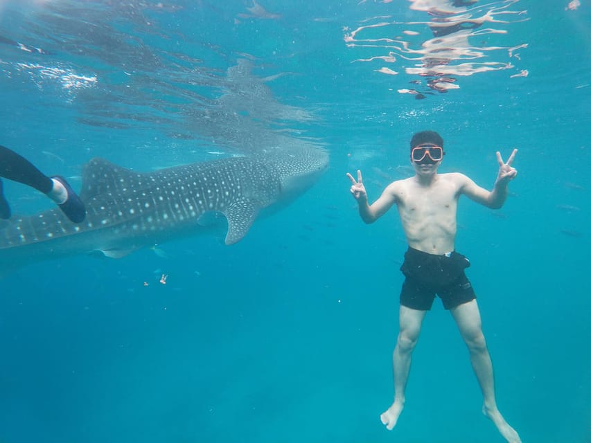 Oslob Whale Shark & Kawasan Canyoneering - Booking and Cancellation