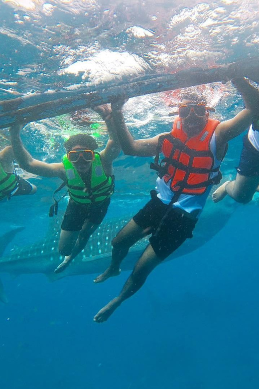 Oslob: Whaleshark Swimming & Sumilon Island Hopping Day Tour - Snorkeling and Conservation Efforts