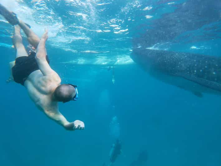 Oslob: Whalesharkwatching, Sumilon Sandbar & Cuartel Ruins - Inclusions and Amenities